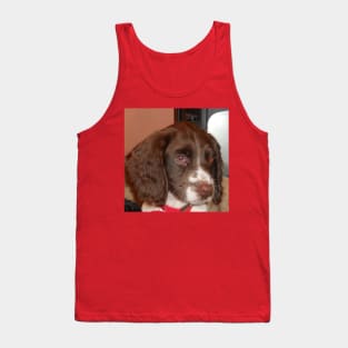 english springer spaniel liver white puppy Tank Top